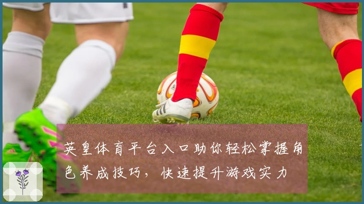 英皇体育平台入口助你轻松掌握角色养成技巧，快速提升游戏实力